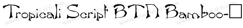 Tropicali Script BTN Bamboo字体转换